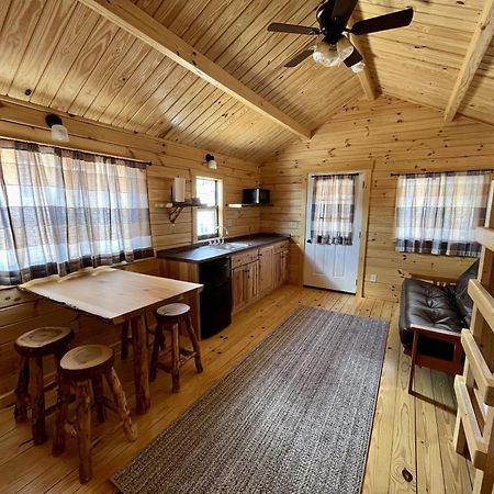 Zion Canyon Cabins Спрингдейл Экстерьер фото